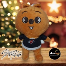 PELUCHE STRAY KIDS #1 (22CM APROX) (P0994)