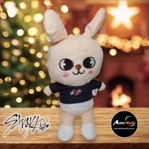 PELUCHE STRAY KIDS #2 (22CM APROX) (P0995)