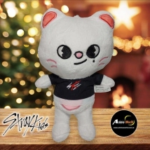 PELUCHE STRAY KIDS #3 (22CM APROX) (P0996)
