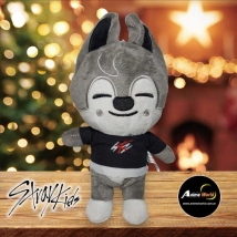 PELUCHE STRAY KIDS #6 (22CM APROX) (P0999)