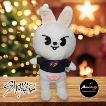 PELUCHE STRAY KIDS #7 (22CM APROX) (P1000)