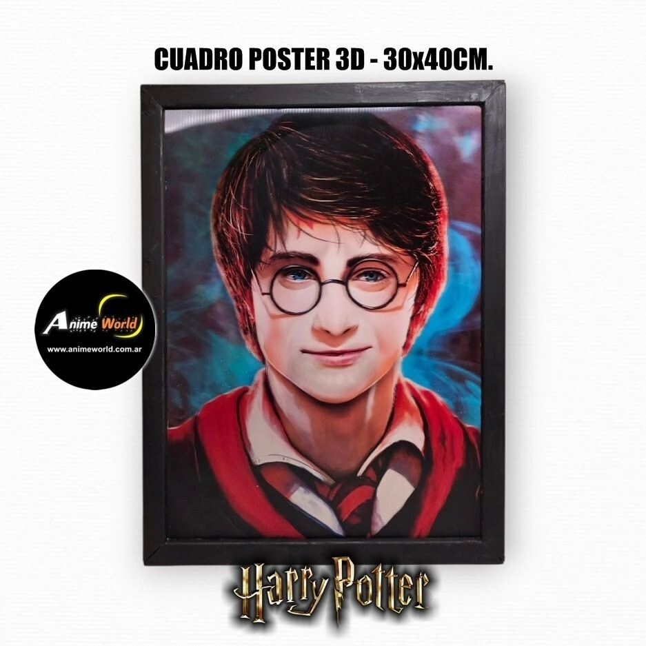 CUADRO POSTER 3D HARRY POTTER #1 (30x40CM) (A0810)