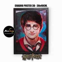 CUADRO POSTER 3D HARRY POTTER #1 (30x40CM) (A0810)