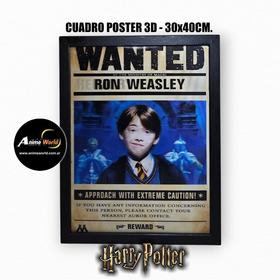 CUADRO POSTER 3D HARRY POTTER #2 (30x40CM) (A0811)