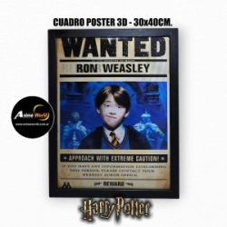 CUADRO POSTER 3D HARRY POTTER #2 (30x40CM) (A0811)