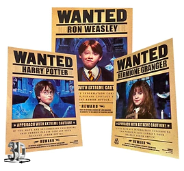POSTER 3D HARRY POTTER 3 DISE�OS EN 1 #1 (29,5x39,5CM) (A0871)