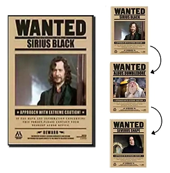 POSTER 3D HARRY POTTER 3 DISE�OS EN 1 #2 (29,5x39,5CM) (A0875)