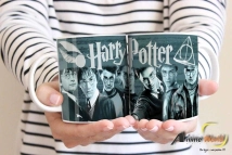 TAZA PLASTICA - HARRY POTTER (T0075)