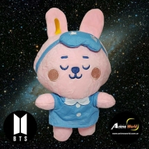 PELUCHE BTS DREAMS KOOKIE (27CM APROX) (P0528)